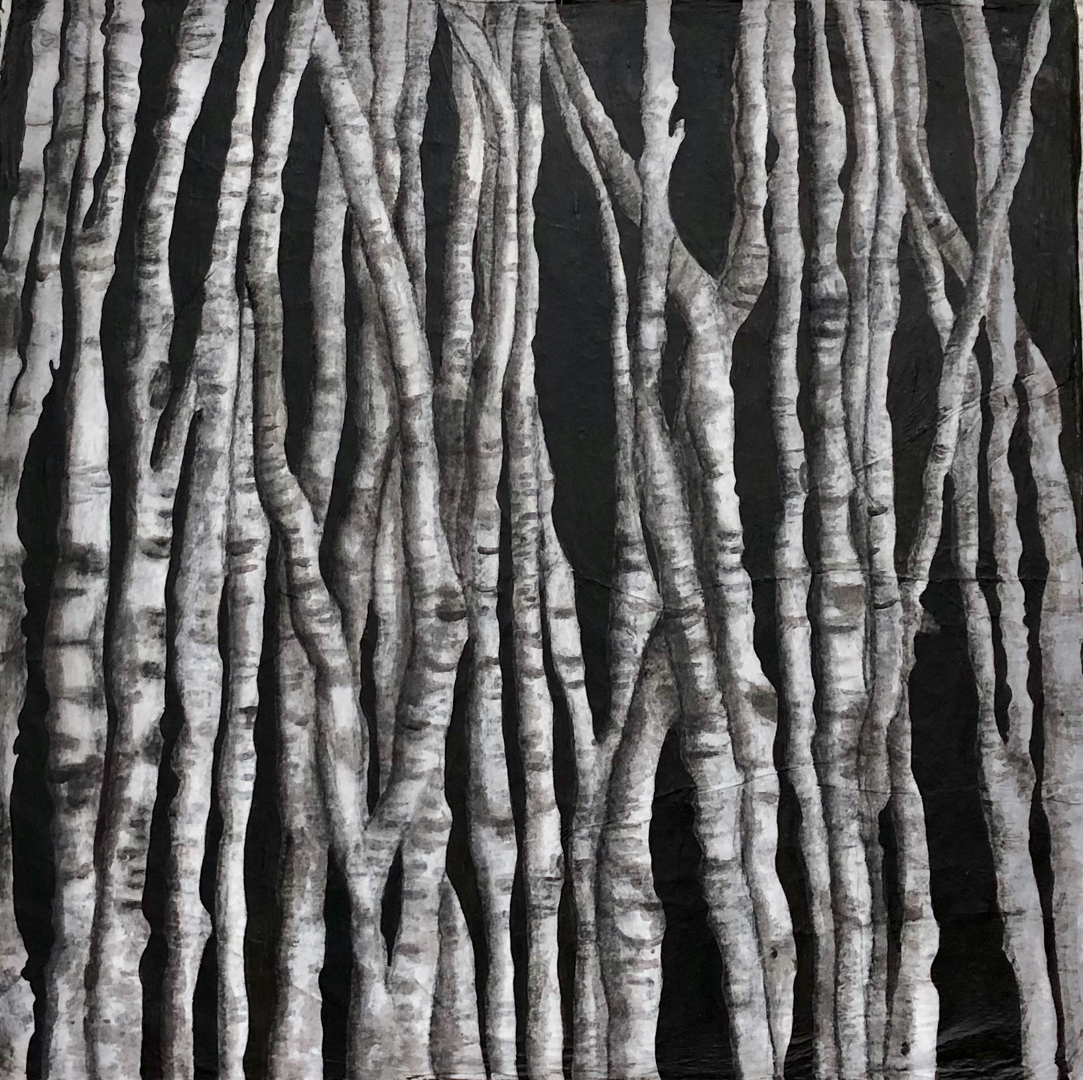 Birken -Acryl-Leinwand-40 cm x 40 cm